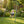 Xns001 Baby Swing With Safety Seat Indoor / Outdoor - Black / Green