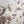 8 Piece Cotton Printed Comforter Set Blush California King