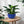 3 Pieces Ceramic Flowerpot