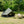 Oxford Bell Tent 13.1FT with Stove Jack for Family Camping