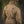 M-Tac Chest Rig Military Elite