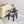 Tempered Glass Table With Storage