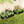Galvanized Raised Garden Bed 8x4x1ft