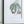 19.7x27.6 Botanical Wall Arts, Set of 2
