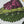 Outdoor Patio Chair Cushions - Botanical Floral Print