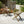 Outdoor Foldable Wood Dining Chair With Slat Design (Set of 2)
