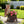 Sitting Owl with Tree Trunk Garden Planter