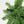 HOMCOM 6ft Whimsical Pencil Christmas Tree