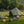 4 Season Bell Tent 9.8 FT
