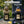 Outdoor Garden Lantern Light with Warm LED Leaf Silhouette