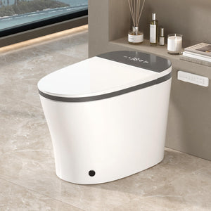 Smart Toilet with Built-In Bidet and Heated Seat
