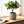 Large Round Planters for Indoor and Outdoor Use