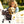Double Pet Stroller for Dogs and Cats