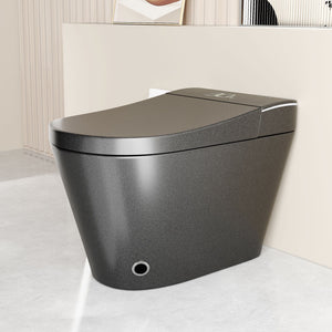 Smart Bidet Toilet With Auto Open / Close Seat, Warm Water Wash, Heated Seat, And Wireless Remote Control