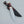 Full Tang Texas Bowie Knife | Red Pakka Wood