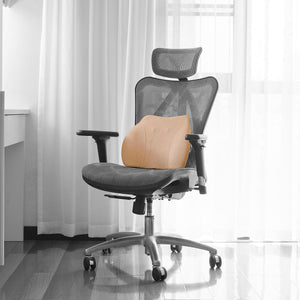 WENNEBIRD Model Q Lumbar Memory Foam Support Pillow to Improve Posture, Beige