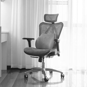 WENNEBIRD Model Q Lumbar Memory Foam Support Pillow to Improve Posture, Grey