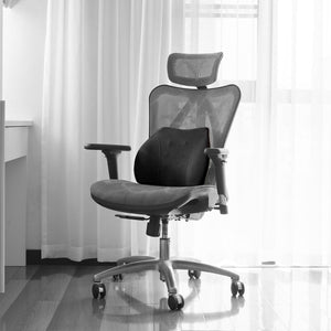 WENNEBIRD Model Q Lumbar Memory Foam Support Pillow to Improve Posture, Black