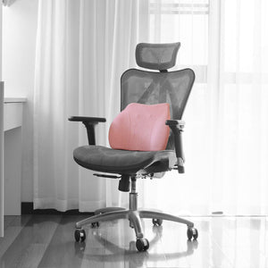 WENNEBIRD Model Q Lumbar Memory Foam Support Pillow to Improve Posture, Pink