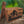 Betterwood Products Fatwood Firestarter in Wooden Crate, Yosemite, 13LB(Damaged)