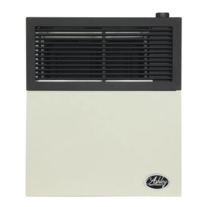 Ashley Hearth Products 11,000 BTU Direct Vent Liquid Propane Wall Mount Heater