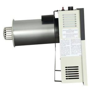 Ashley Hearth Products 17,000 BTU Direct Vent Liquid Buddy Propane Wall Mount Heater