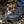 M-Tac Sneakers Tactical Demi-Season