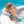INTEX PureSpa Plus Inflatable Square Hot Tub & Cushioned Pillow, White (4 Pack)