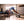 AB Dolly Plus Home Core Training Fitness Abs Exercise Machine Workout Equipment