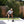 TRX 15 Pound Weighted Slam Ball for Full Body High Intensity Workouts, Black