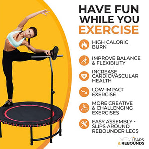 LEAPS & REBOUNDS 48" Adjustable Stability Bar w/ 48" Fitness Trampoline, Purple - TRAPSKI