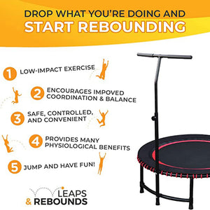 LEAPS & REBOUNDS 40" Adjustable Stability Bar w/ 40" Fitness Trampoline, Green - TRAPSKI