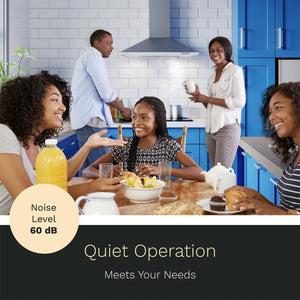 hOmeLabs 30 Inch Stainless Steel Wall Mount Range Hood Exhaust Fan for Kitchen