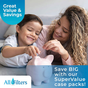 SpiroPure 10 x 4.5" Pleated Polyester Water Filter Cartridge, 30 Micron (8 Pack)