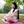 BalanceFrom GoCloud 1