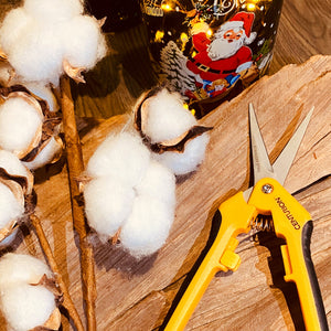 CENTURION Stainless Precision Snip Curved/Straight Pruning & Trimming Shear Set