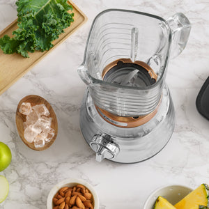 Oster Beehive Performance 3 Speed Blender with 1100 Watt Motor, Silver/Copper