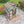 Gain Height Windproof house With Raised Base