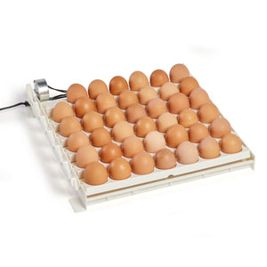 Farm Innovators 3200 Automatic 41 Spot Egg Turner for Improved Hatching, White