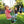 Intex Three Feature Colored Playground Swing Set with Trapeze Bar, Multicolor - TRAPSKI