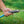 Camco EvoFlex 75 Foot RV and Marine Drinking Water Hose for Outdoor Recreation