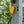 Camco Power Grip 18