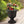 Southern Patio 19 Inch Round Outdoor Utopian Urn for Large Sized Plants, Black