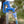 Camco TastePURE 25 Foot No Kink Heavy Duty PVC Premium Drinking Water Hose, Blue