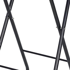 PureSana Chromium Professional Foldaway Salon Service Tray with Wheels, Black - TRAPSKI