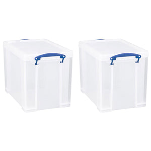 Really Useful Box 19L Storage Container with Lid and Clip Lock Handles, (2 Pack) - TRAPSKI