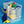 Really Useful Box 19L Storage Container with Lid and Clip Lock Handles, (2 Pack) - TRAPSKI