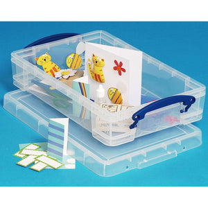 Really Useful Box 4L Storage Container with Lid and Clip Lock Handles, (2 Pack) - TRAPSKI