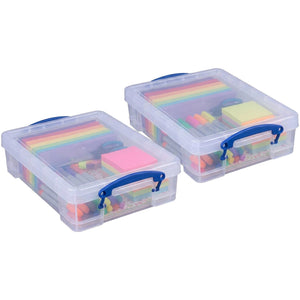 Really Useful Box 4L Storage Container with Lid and Clip Lock Handles, (2 Pack)