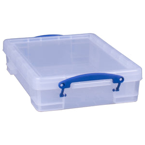 Really Useful Box 4L Storage Container with Lid and Clip Lock Handles, (10 Pack) - TRAPSKI